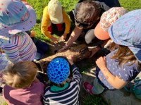 Kinder am Käferstamm